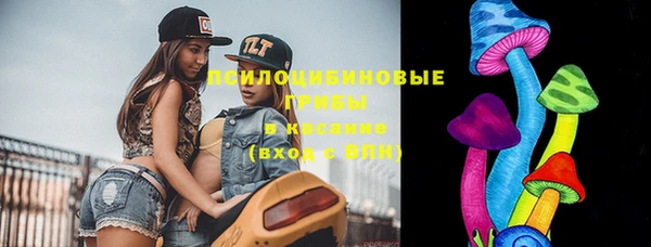 кокс Дмитровск