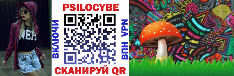 Галлюциногенные грибы Psilocybe  Керчь 